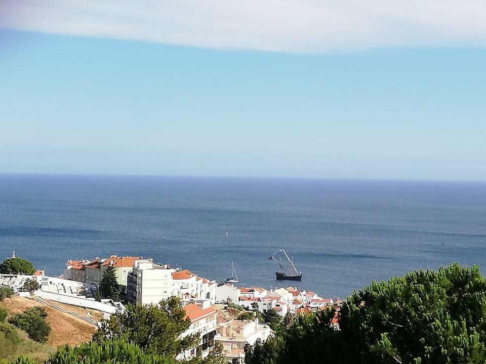 Casa Vale Do Paraiso Apartment Сесимбра Екстериор снимка