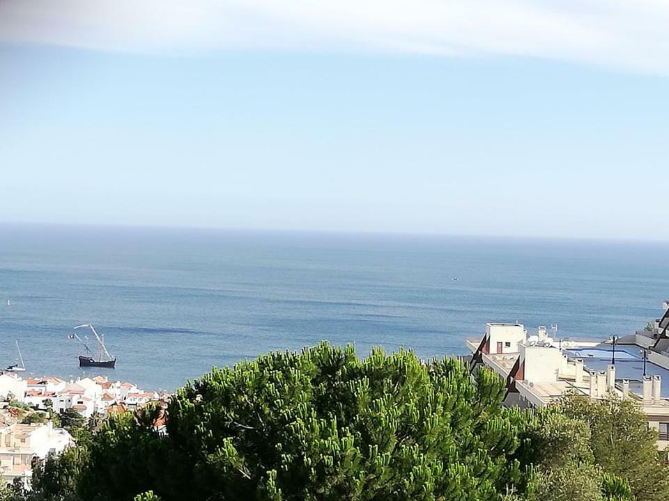 Casa Vale Do Paraiso Apartment Сесимбра Екстериор снимка